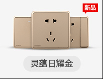 西门子（SIEMENS）开关插座面板 