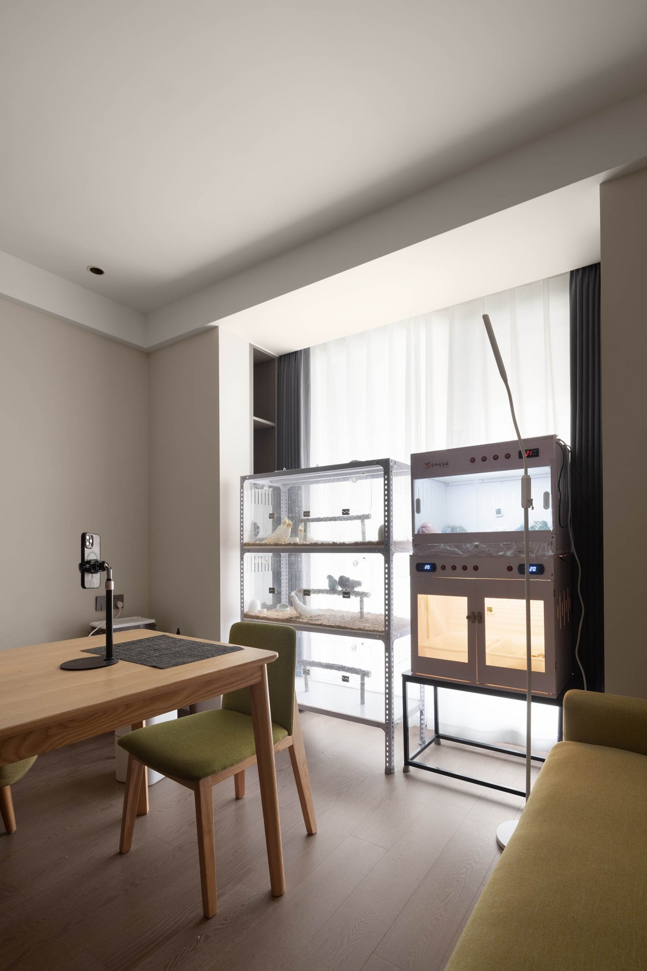 择诗 &middot; 启风