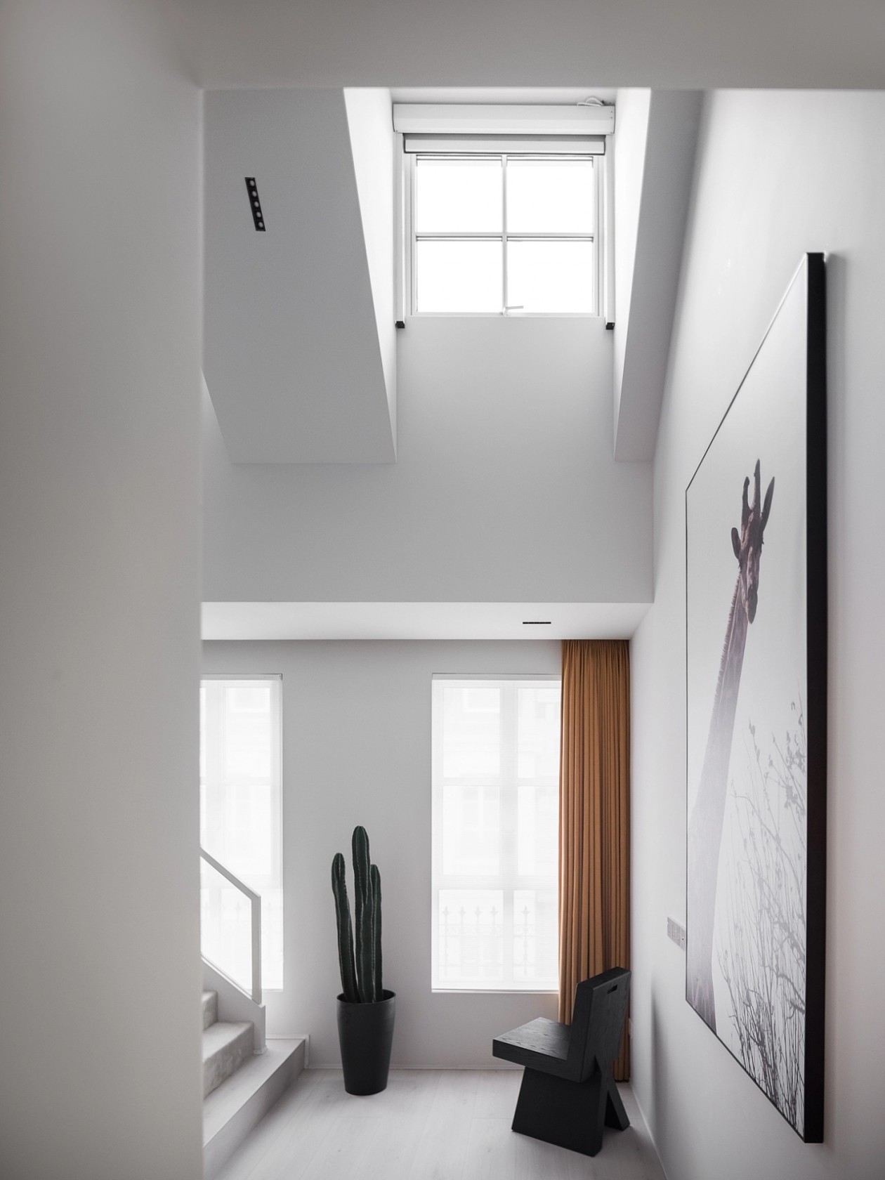 会呼吸的家，有美食更有热爱