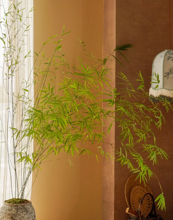 中式茶室｜竹丛掩清风，晨光照东墙