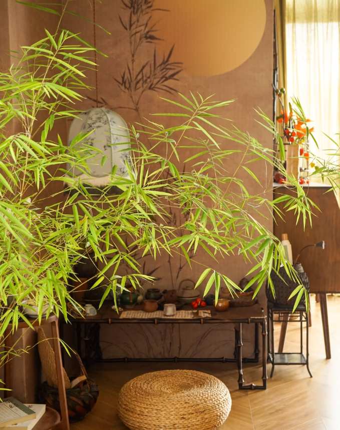 中式茶室｜竹丛掩清风，晨光照东墙