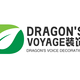 Dragon's voyage装饰