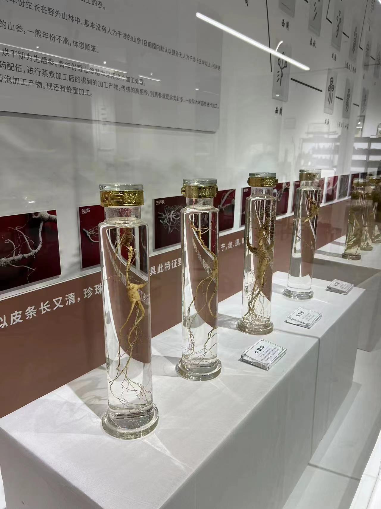 滨江广场文化馆
