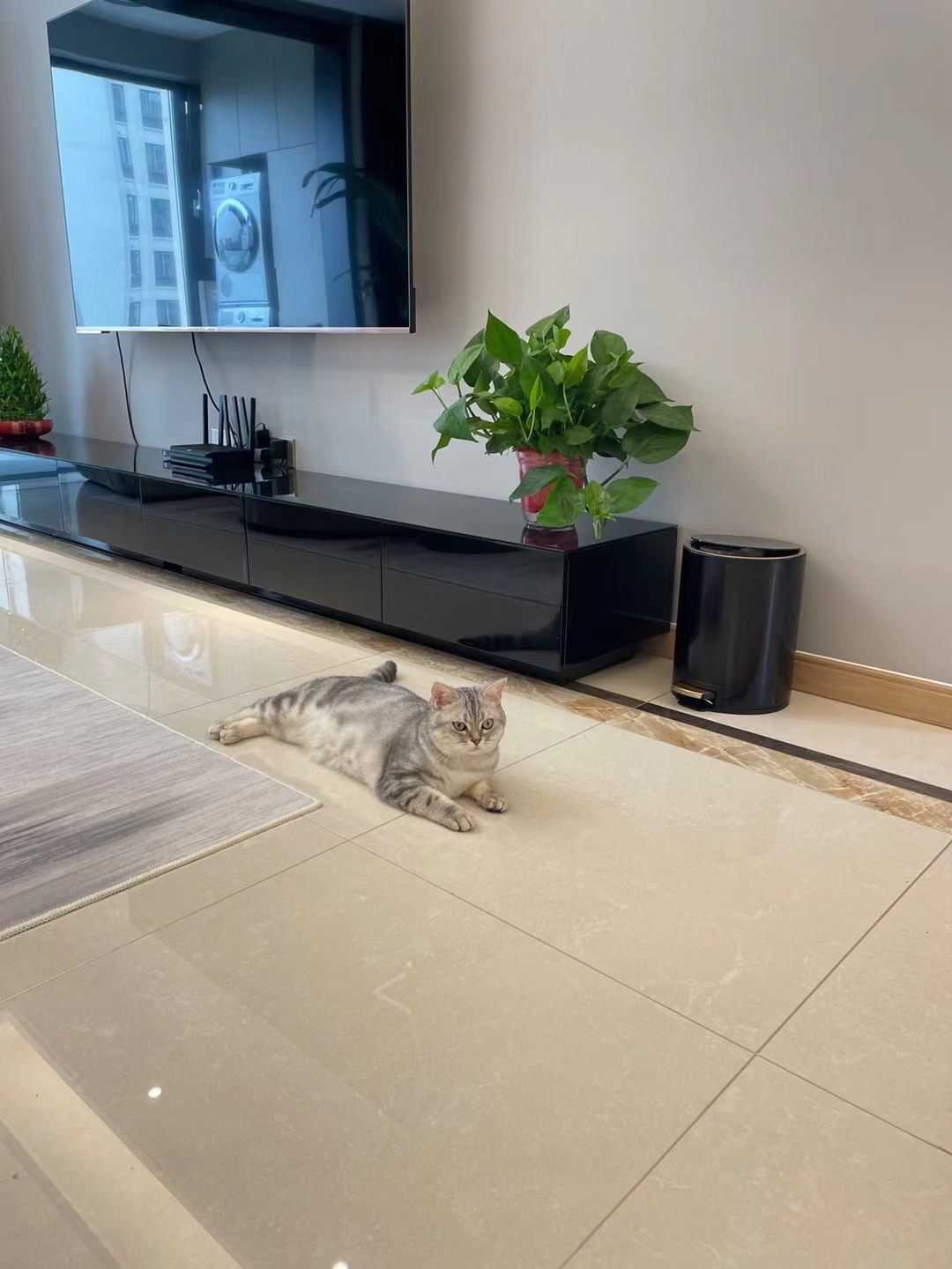 安逸