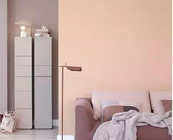 超靓装修涂料选择方案