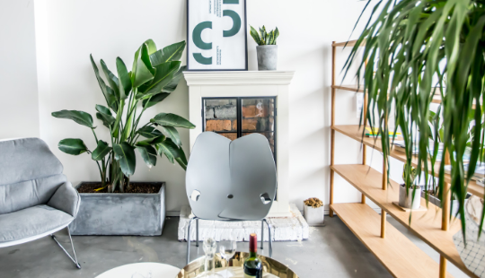 家装，欧式风格的分类？欧式风格的特点？