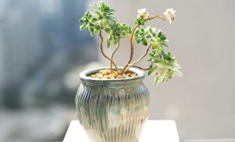 办公室风水，风水化煞秘诀